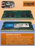 Оперативная память DDR4 8Gb 3200 MHz Crucial CT8G4SFS832A.M8FR PC4-25600 Sodimm для ноутбуков